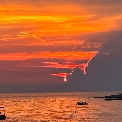 Whatsapp Bild 2024 08 25 Um 16.18.35 A248b94a