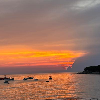 Whatsapp Bild 2024 08 25 Um 16.18.41 7cd9e8c2