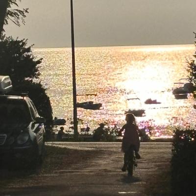 Whatsapp Bild 2024 08 25 Um 16.18.47 9ea721e5