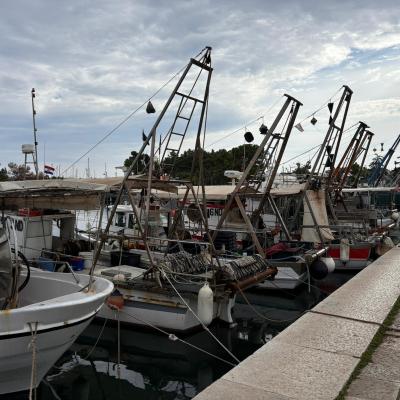 Whatsapp Bild 2024 08 25 Um 16.18.49 9d8824e8