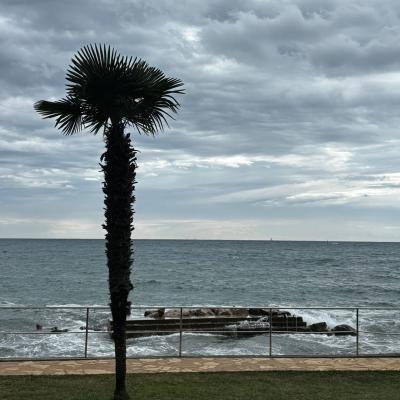 Whatsapp Bild 2025 09 11 Um 23.42.05 9ad1a5fa