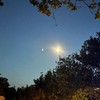 Whatsapp Bild 2025 09 11 Um 23.42.08 Ee153fb7