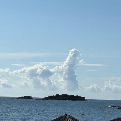 Whatsapp Bild 2025 09 11 Um 23.42.14 C4c7cf44