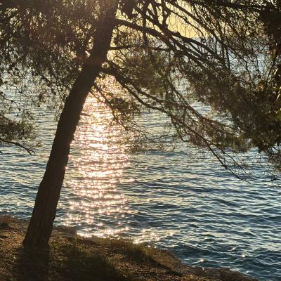 Whatsapp Bild 2025 09 11 Um 23.42.19 23399faf