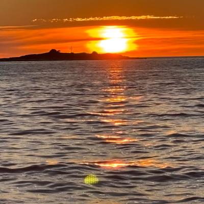 Whatsapp Bild 2025 09 11 Um 23.42.19 7045dc85