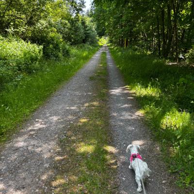 Whatsapp Bild 2025 06 03 Um 21.31.20 011f76f0