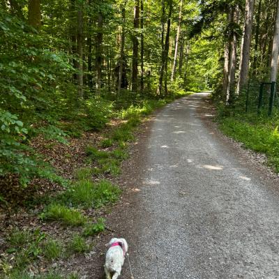 Whatsapp Bild 2025 06 03 Um 21.31.20 7a017e7a