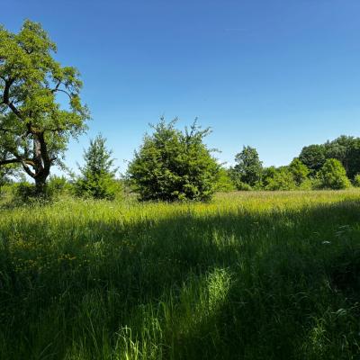 Whatsapp Bild 2025 06 03 Um 21.31.21 3ef76313