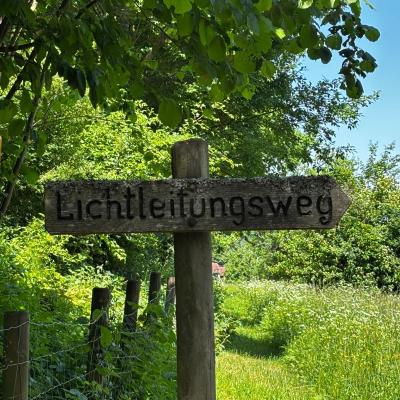 Whatsapp Bild 2025 06 03 Um 21.31.21 63669031