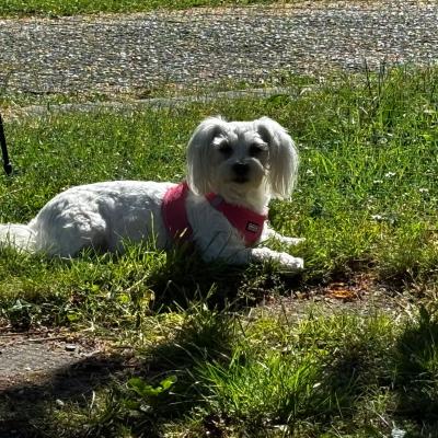 Whatsapp Bild 2025 06 03 Um 21.31.22 E35a9681