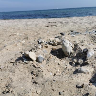 Img 20210904 144331 1