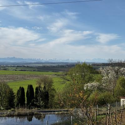 2025 04 21 08 55 44 620